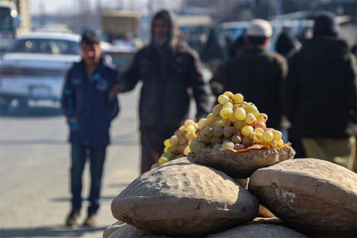 Người Afghanistan có một phương pháp cổ xưa giúp giữ cho trái cây tươi lâu hơn